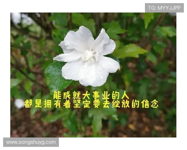 坚持信念不因短暂失误影响全局表现