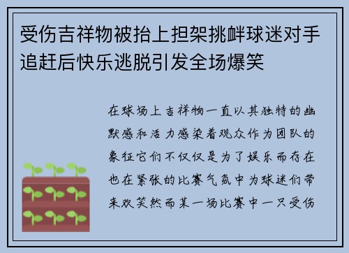 受伤吉祥物被抬上担架挑衅球迷对手追赶后快乐逃脱引发全场爆笑